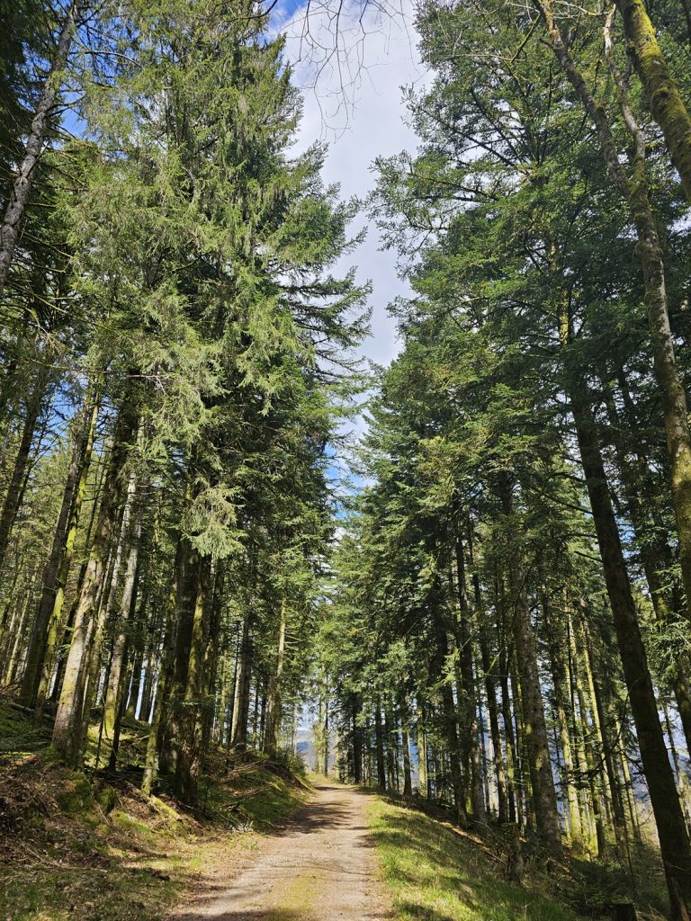 circuit-trail4-le-tour-des-abris-2.jpg