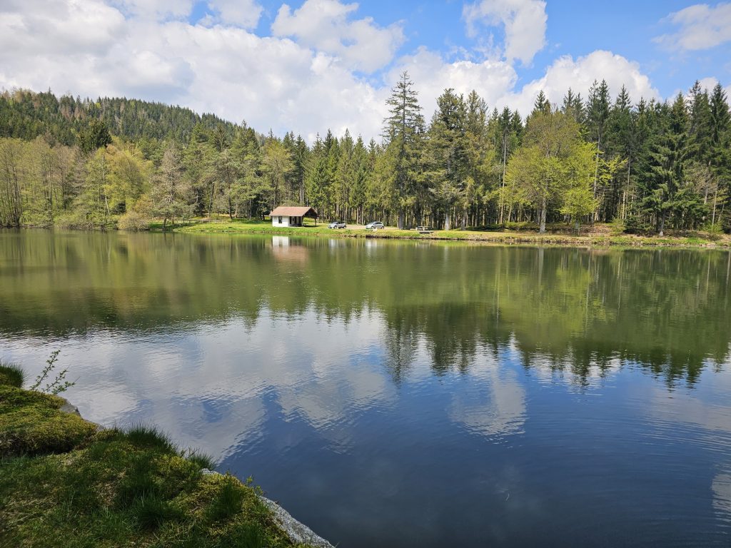 circuit-trail4-le-tour-des-abris-5.jpg