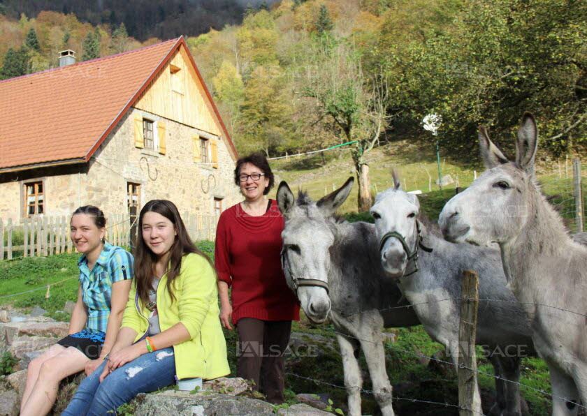 ferme-auberge-hinteralfeld-5.jpg