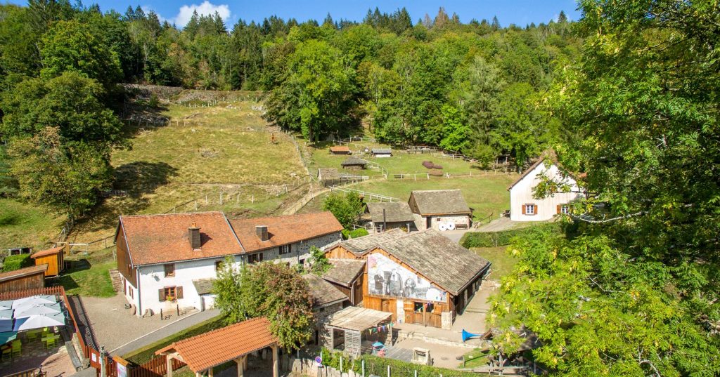 Grand pique-nique HAUT DU THEM CHATEAU LAMBERT