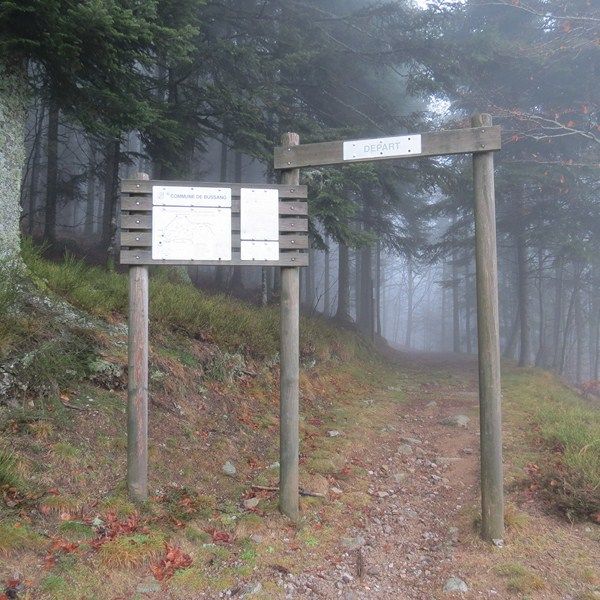 parcours-de-sante-vallee-de-la-moselle-2.jpg