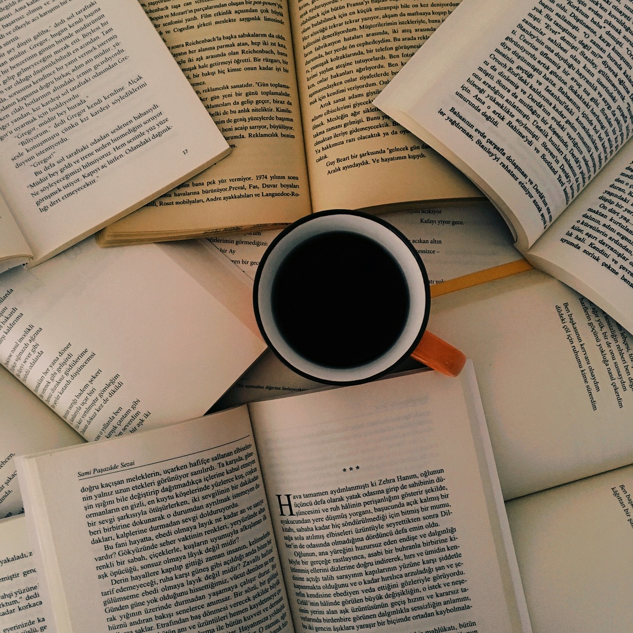 Café lecture LE THILLOT