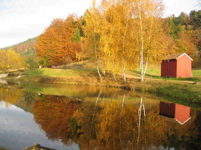peche-etang-des-fenesses-2.jpg