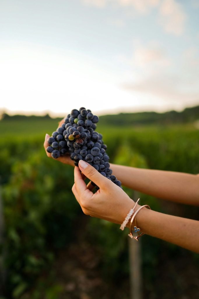 Salon du vin et des terroirs BUSSANG