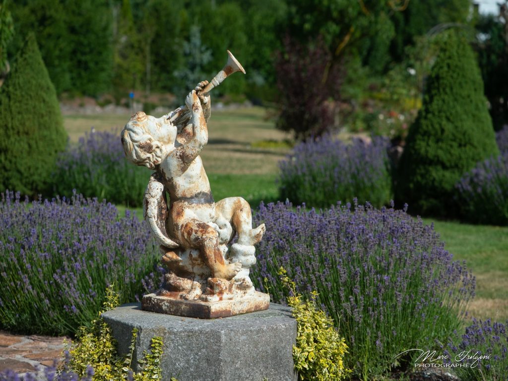 Le Jardin de Bonnegoutte CORNIMONT