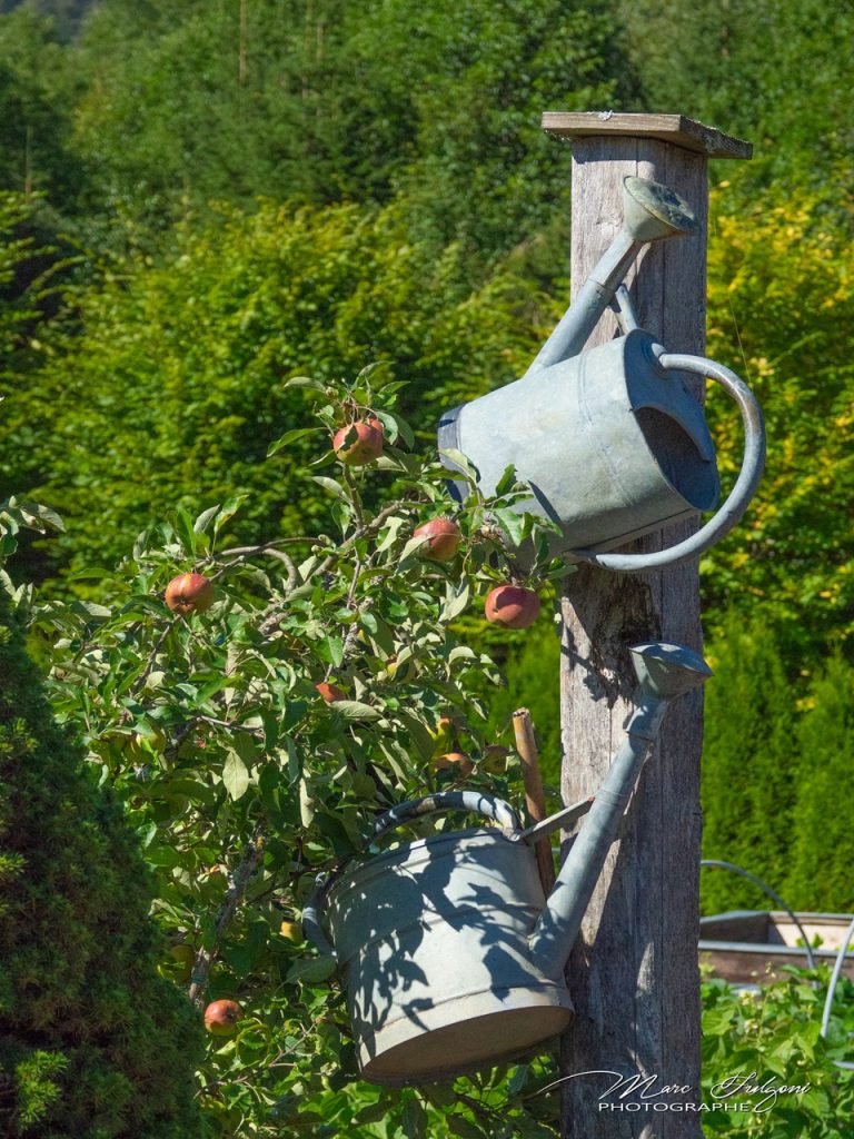 jardin-de-bonnegoutte-cornimont-10.jpg